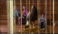dr dolittle 3-avi_044.jpg